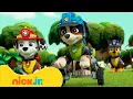 Lagu PAW Patrol | Dinosaurierabenteuer mit Rex! | Nick Jr. Deutschland