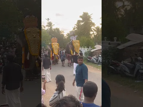 @Valiyora fest#🐘beezee miniature world#