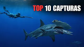 Los 10 Peces Más Épicos Que He Capturado con Arpón
