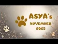 Lagu Asya november 2025