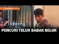 Download Lagu Diduga Curi Telur, Dua Pria Diamuk Warga | Liputan 6 Kaltim