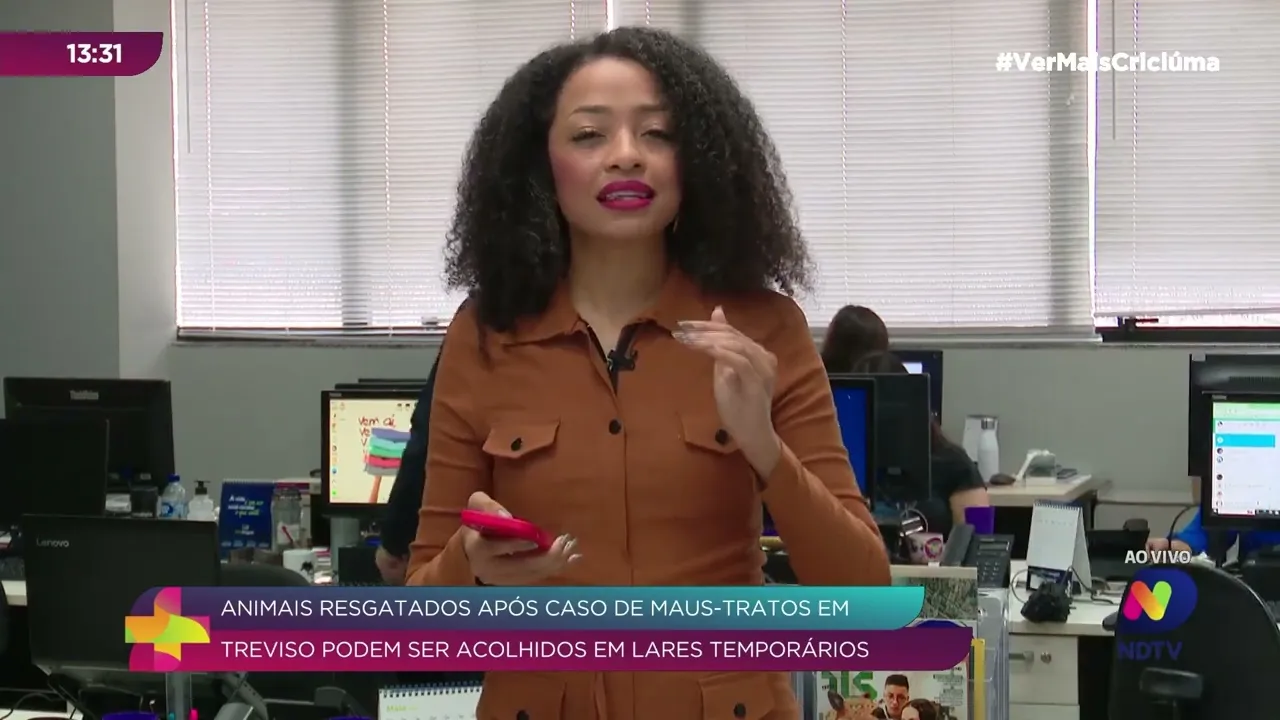 Animais resgatados em Treviso em busca de lar temporário