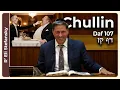 Daf Yomi Chullin Daf 107 by R Eli Stefansky