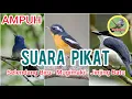 Lagu Pikat Selendang Biru, Mugimaki, Jinjing Batu