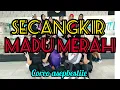 Download Lagu MADU MERAH 🍯- MEGGIE DIAZ #senamkreasi #viraltiktok #2023 #dangdut