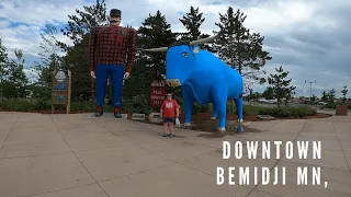 Downtown Bemidji MN