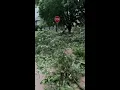 Storm damage in Corning Thursday morning