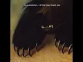 JD McPherson -  You Must Have Met Little Caroline