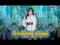 Download Lagu Denik Armila - TRESNOMU LUNGO | Official Video
