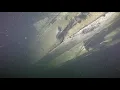 Download Lagu 2/3 2021 M/S Estonia. M/S Estonia bulb + detonating cord