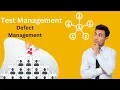 Defect Management