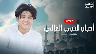 انس سيد بث مباشر أحباب النبي الغالي Livestream 