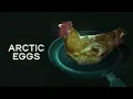 Arctic Eggs Trailer