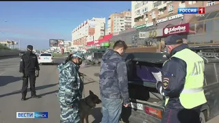 Сотрудники Госавтоинспекции проводят масштабный рейд «Трезвость»