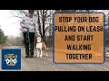 Stop Your Dog Pulling on Leash and Start Walking Together
