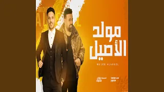 مولد الاصيل 
