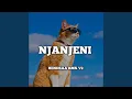Lagu Njanjeni