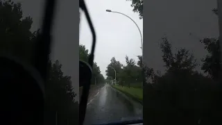 سولف علي عبد الله رويشد 