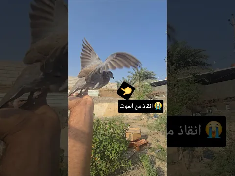 فرات الصياد #حيوانات #اكسبلور /انقاذ من الموت