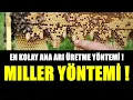ANA ARI ÜRETİMİ/ EN KOLAY ANA ARI ÜRETME YÖNTEMİ! MİLLER YÖNTEMİ!/Raising Queen Bees