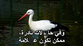 ليه إيدك بترتعش؟ الأسباب اللي محدش بيقولك عليها