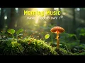 Download Lagu THE BEST MORNING MUSIC - Positive Feelings and Energy - Morning Meditation Music For Stress Relief