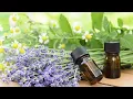 Make your Own Massage oil Blends