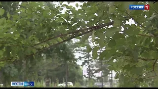 В Омск пришло похолодание