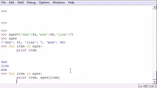 Python Programming Tutorial 26 Infinite Loops and Break