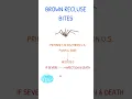 BROWN RECLUSE BITE SYMPTOMS