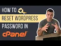 How to Reset WordPress Admin Password in cPanel