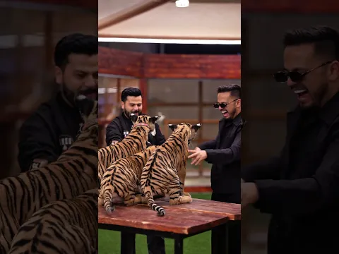 Little Tiger Cubs Have Strong Bite 😳 | Nouman Hassan