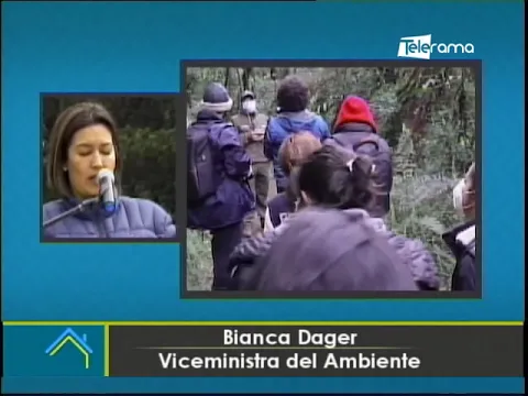 Ministerio de ambiente lanza campaña No arranques la piel de los bosques para proteger musgo