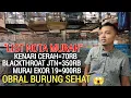 Download Lagu PASAR BURUNG ! OBRAL HARGA MAKIN SERU DI KIOS INI KENARI BLACKTHROAT MURAI BATU PASAR BURUNG PRAMUKA