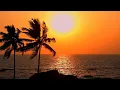 Aesthetic Vol 19 Beautiful Sunset Beach Palm Trees