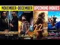 Top 15 Upcoming BIGGEST Movies Release November To December 2025 Hindi | Dhurandhar | Tere Ishq Mein
