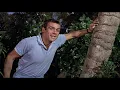 DR. NO | Bond meets Honey