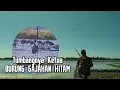 Download Lagu INI AKIBATNYA ‼️LANGIT MENJADI HITAM TERTUTUP JUTAAN BURUNG GAJAHAN HITAM