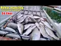 Download Lagu Rekor..!!Mancing Ikan Kakap Putih Terbanyak Dengan Perahu Paralon