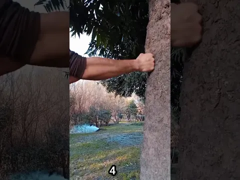 Iron Hands Training! #motivation #martialarts #training