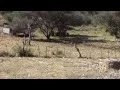 Lagu Kataneno Hunting Farm, Namibia