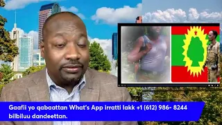 Haasawa Jaal Morroo Fi Jaal Sanyii Akkamitti Ilaalla 