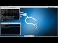 pentest-env cscan msfrpc setup