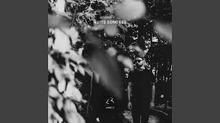 nuits sonores