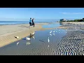 Low Tide in North Naples FL