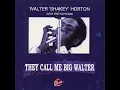 Big Walter's Boogie