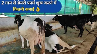 Download 2 गाय से डेयरी फार्म शुरू करने में कितनी कमाई |Start a new dairy farming MP3