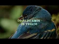 LA T Y LA M - amor de veraNO (Lyrics/Letra)