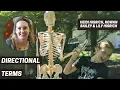 Directional Terms