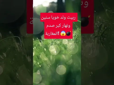 داكشي اللي دار معايا ولد خويا كايخلع وما يطيحش على البال! 💥 #أسرار_وحكايات #فرنسا #حكايتي #قصص